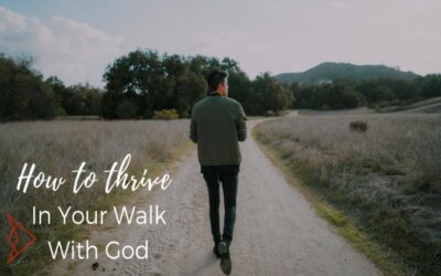 How To Thrive In Your Walk With God